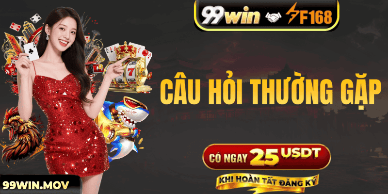 Câu hỏi thường gặp (FAQs)