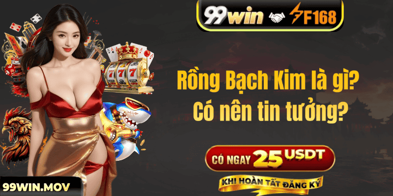 Rồng Bạch Kim là gì? Có nên tin tưởng?