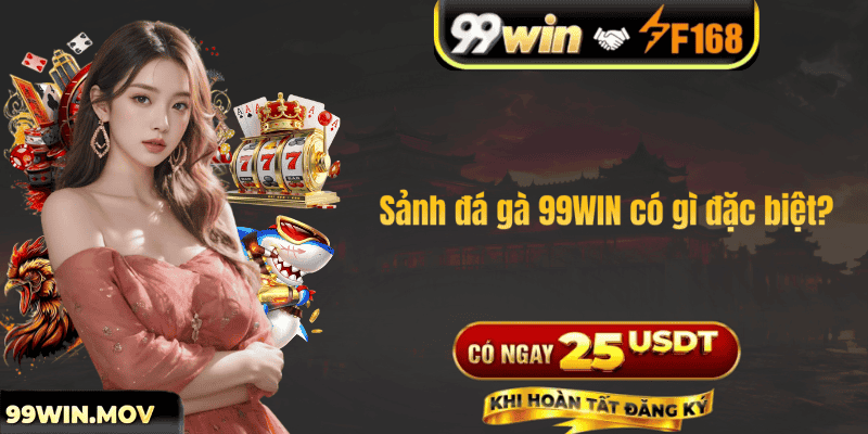 Sảnh đá gà 99WIN có gì đặc biệt?