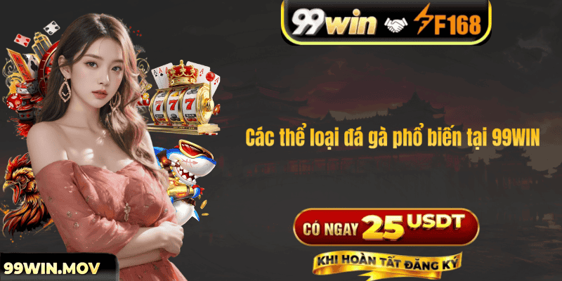 Các thể loại đá gà phổ biến tại 99WIN